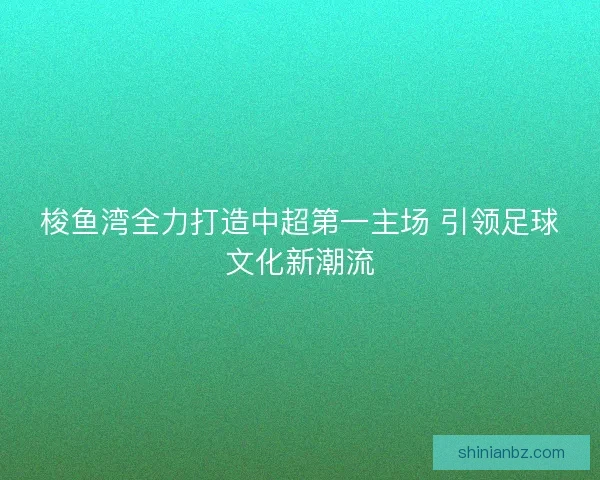 梭鱼湾全力打造中超第一主场 引领足球文化新潮流