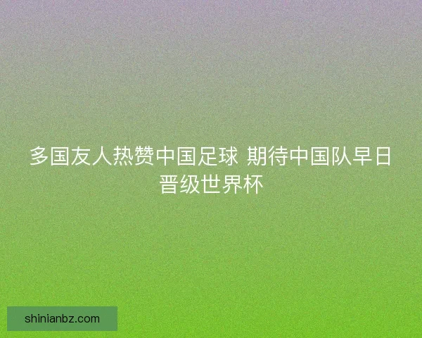 多国友人热赞中国足球 期待中国队早日晋级世界杯